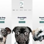 Pet Lover Digital Download Store Theme Product Featured Image 8 150x150